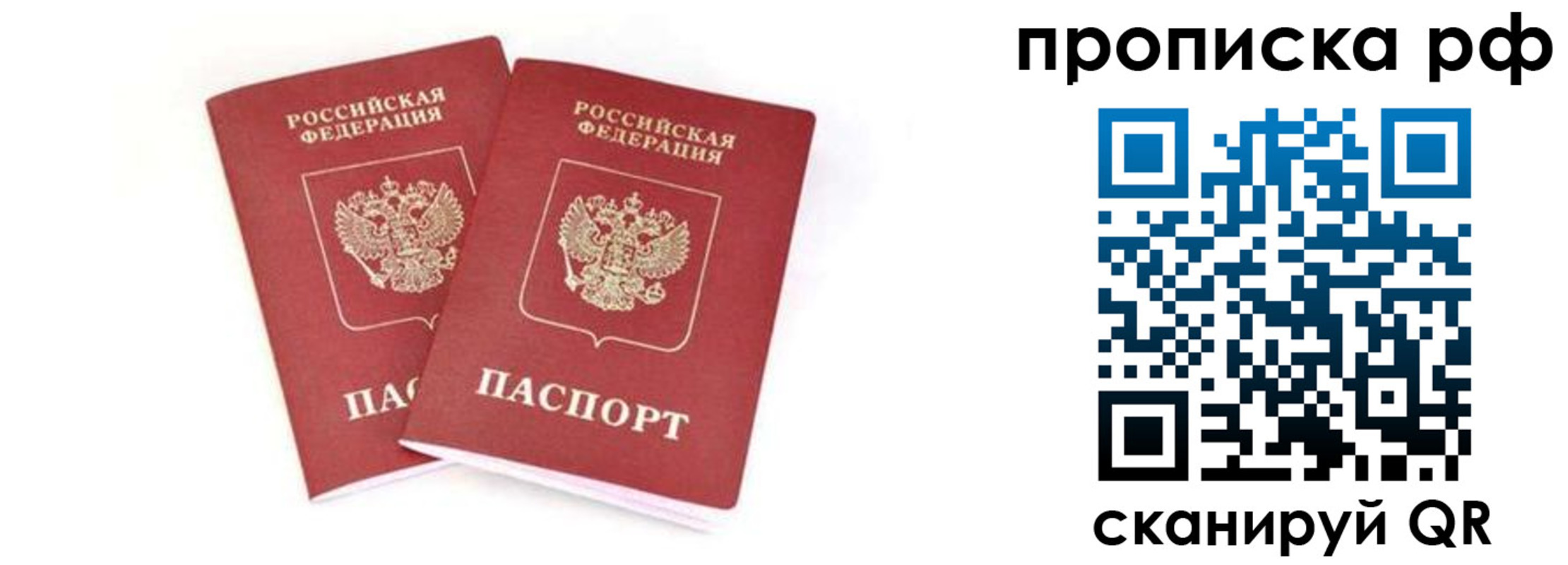 прописка поиск в Балтийске